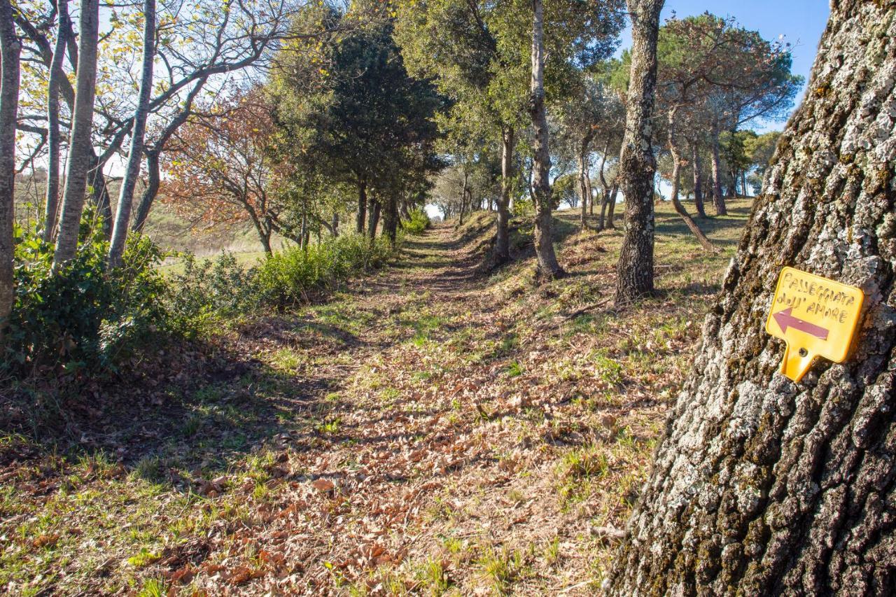 Glamping Debbiare Hotel Riparbella Kültér fotó