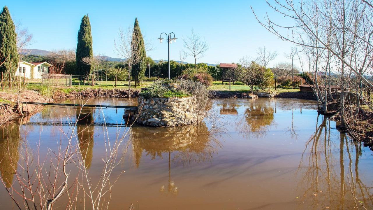 Glamping Debbiare Hotel Riparbella Kültér fotó