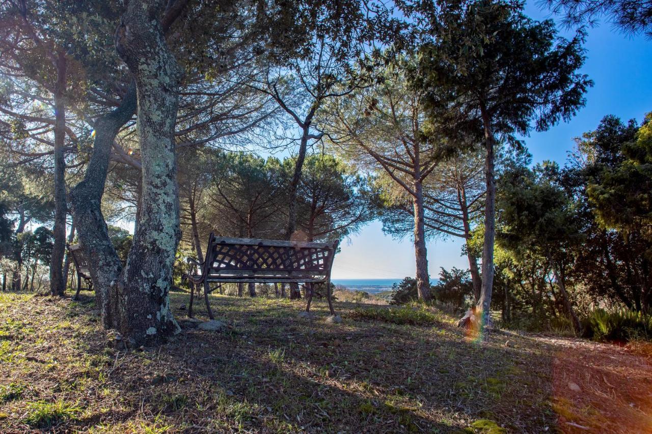 Glamping Debbiare Hotel Riparbella Kültér fotó