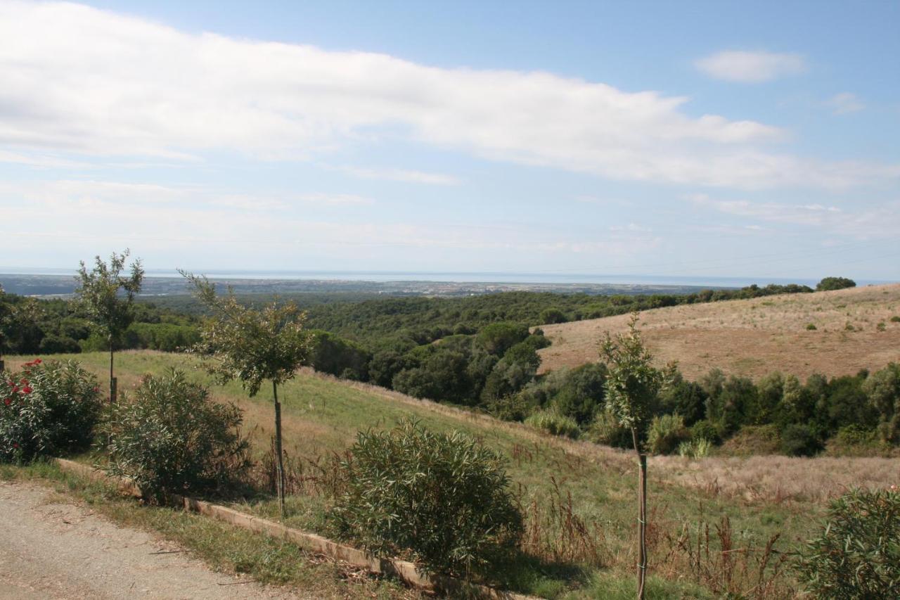 Glamping Debbiare Hotel Riparbella Kültér fotó