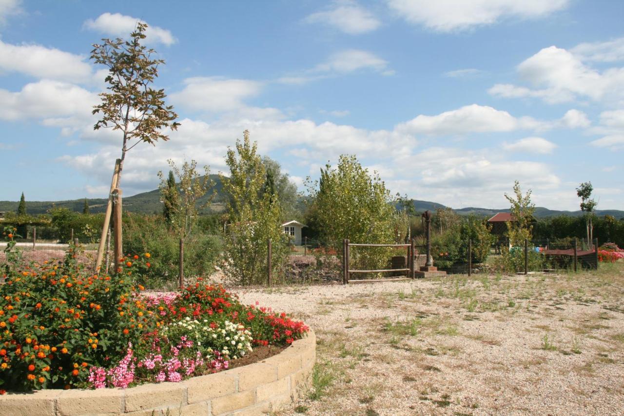 Glamping Debbiare Hotel Riparbella Kültér fotó
