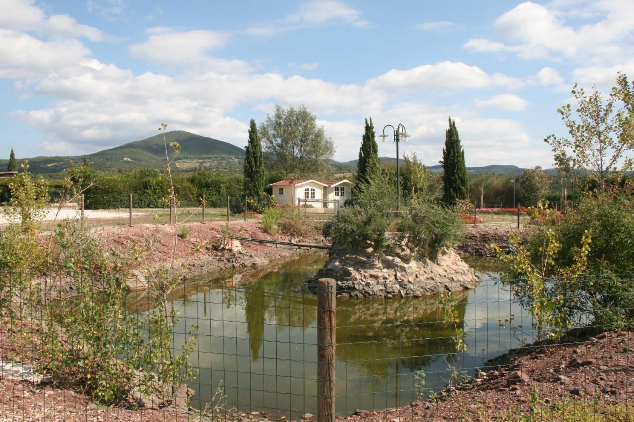 Glamping Debbiare Hotel Riparbella Kültér fotó